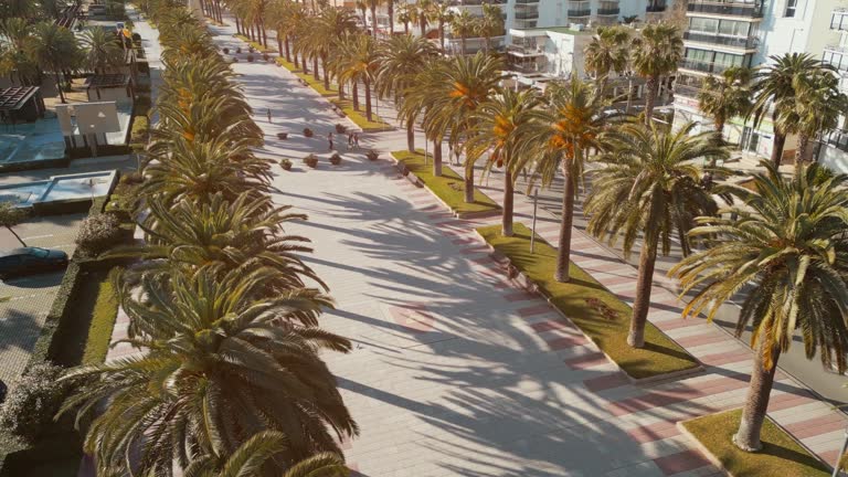 beautiful alley with palm trees aerial view, pedestrian street at sunset drone view, promenade at exotic tropical resort, Salou Spain