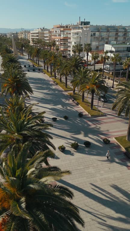 beautiful alley with palm trees aerial view, pedestrian street at sunset drone view, promenade at exotic tropical resort, Salou Spain, aerial drone view, vertical 4k