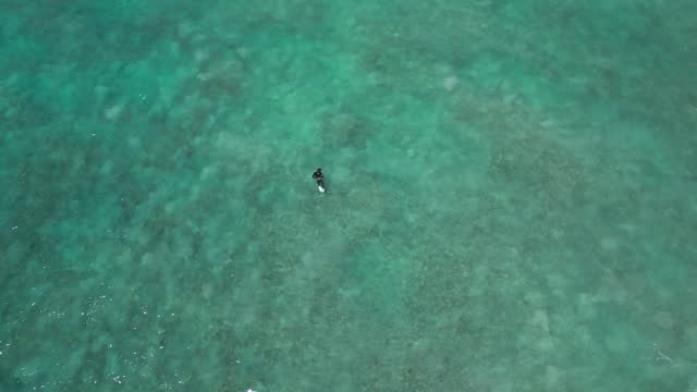Spearfisherman in turquoise waters. Aerial top-down view and copy space