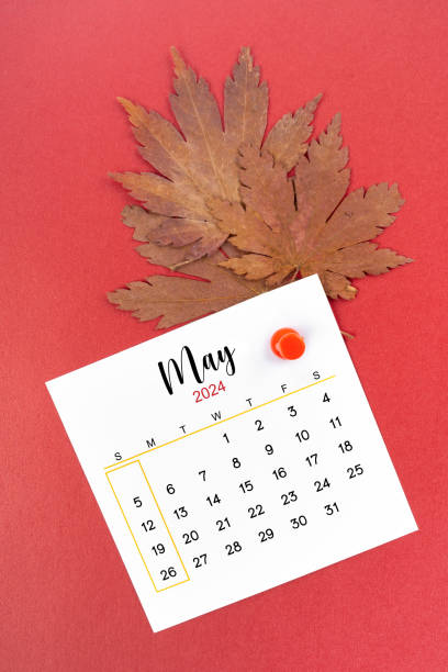 istock May 2024 calendar page and autumn maple leaf with thumbtack. 2148385275