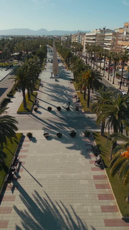 beautiful alley with palm trees aerial view, pedestrian street at sunset drone view, promenade at exotic tropical resort, Salou Spain, aerial drone view, vertical 4k