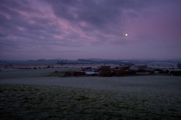 A Wolf Moon in a magenta and blue sky as day breaks over a frosty field and farm in East Sussex.