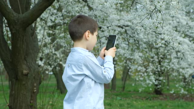 Boy taking pictures and filming on smartphone cherry blossom tree.