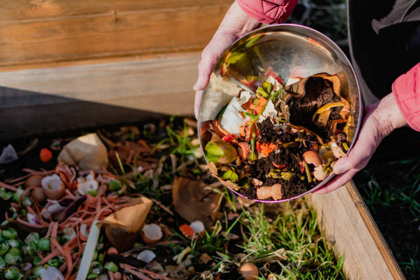 istock Person who put in a composter some kitchen waste like vegetables, fruits, eggshell, coffee grounds in order to sort and make bio fertilizer 2148388372