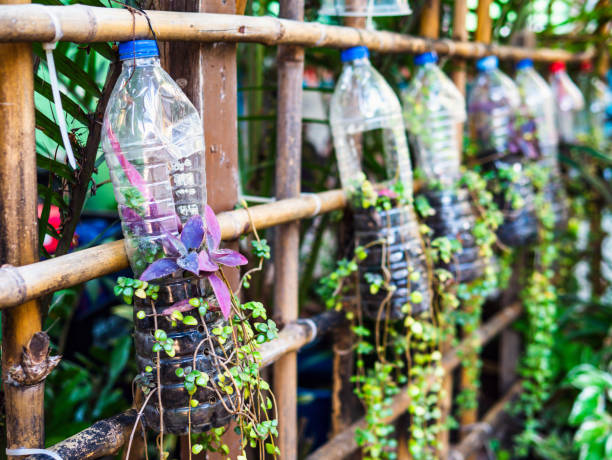 Creative ideas for making plant holders from recycled plastic bottles. These can be used to decorate your garden or home while reducing packaging waste.