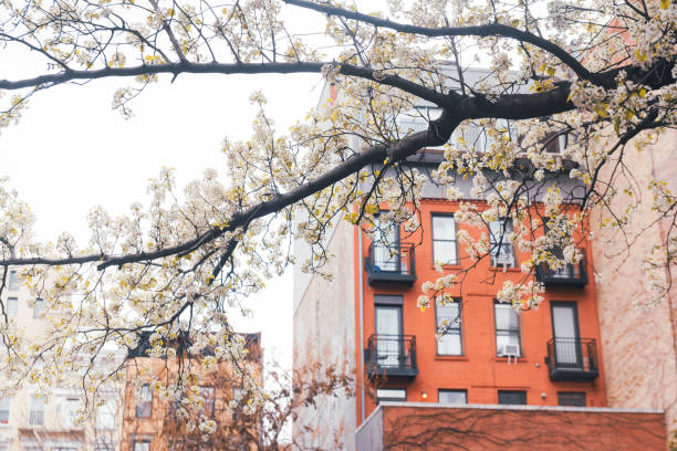 NYC Spring Flowers by Brick Wall with Window
