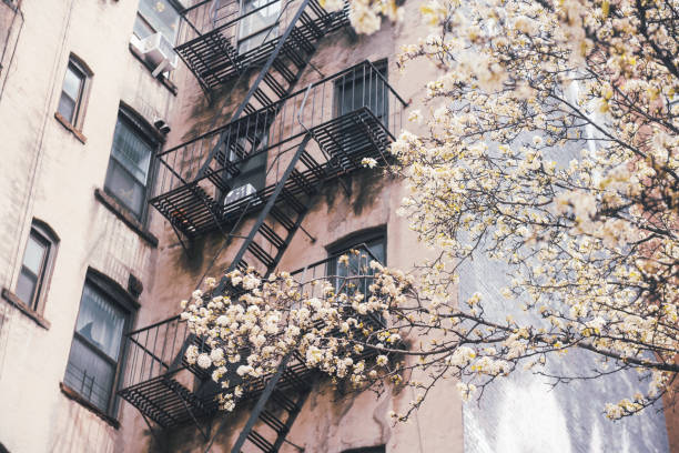 NYC Spring Flowers by Brick Wall with fire escape in Soho.