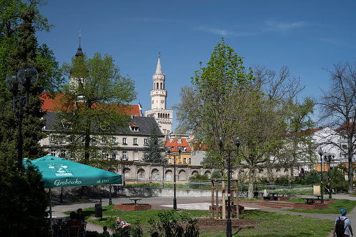View of the park at Wolnosci Square on a beautiful sunny day, with the tower of the Neo-Renaissance town hall in Opole in the background.