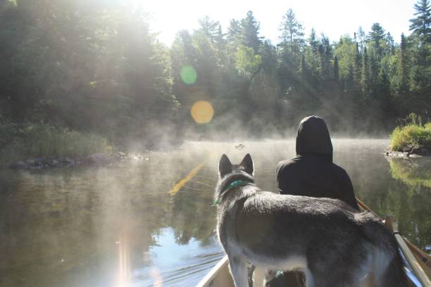 istock Human and dog paddle into the mist 2148391562