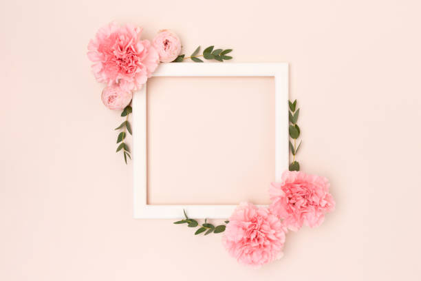 istock Square frame made of pink rose, carnation flowers and green eucalyptus branches. 2148392240