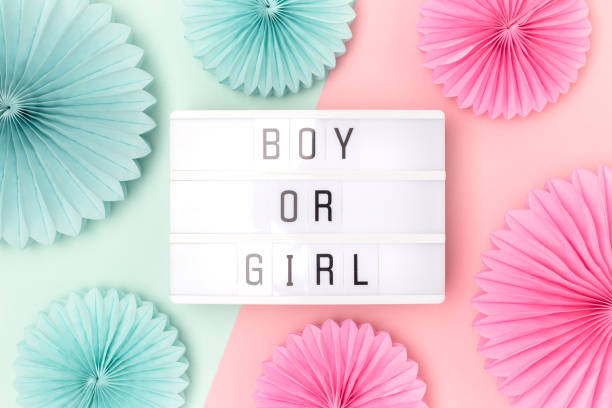 男の子でも女の子でも。ピンクと青の色の文字とティッシュペーパーのファンとライトボックス。