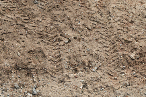 Wheel tracks imprinted on dirt soil