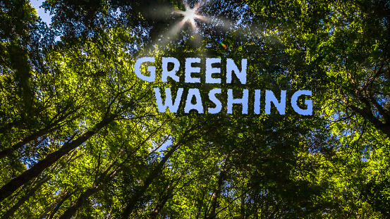 Climate Activism Concept Against Greenwashing