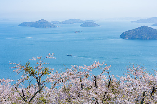 Sakura and Seto Inland Sea of Shiudeyama in Mitoyo City, Kagawa Prefecture