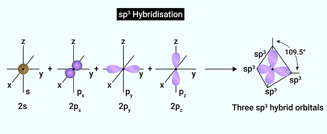 sp3 Hybridisation: One s and three p orbitals of an atom of a molecule or ion, are mixed to give  four new hybrid orbitals called as sp3 hybrid orbitals.