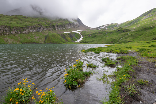 View of the Bachsee surrounded with Swiss mountains during a cloudy summer day. Alpine lake in Switzerland near Grindelwald. Beautiful alpine Swiss landscape. Tourist must-see spot.