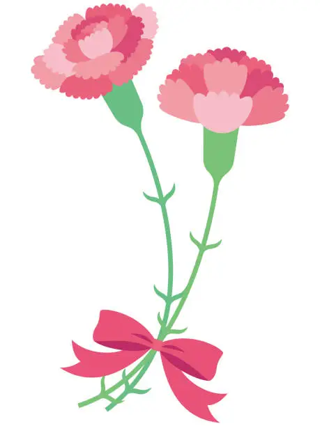 Vector illustration of wo cute pink carnations and ribbon