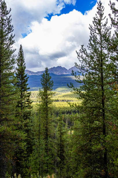 istock Bow Valley Pkwy Banff National Park Alberta Canada 2148403510