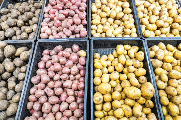 istock Fresh organic potatoes of various varieties in plastic boxes 2148406105