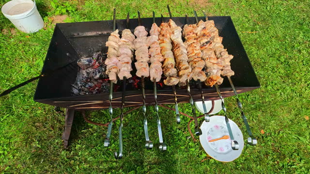 Closeup of  fresh roasted chicken on grill, tasty skewered shish kebab