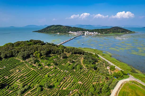 Panorama of Lake Tai and Xishan Island Panorama of Xishan Island and Lake Tai, Suzhou, China lake tai stock pictures, royalty-free photos & images