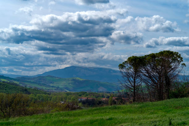 Panoramic view on a green hills with cloudscape.