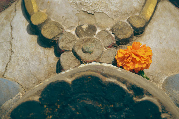 A vibrant orange marigold flower placed on a stupa as a sacred Buddhist religious offering in Swayambunath Temple in Kathmandu, Nepal