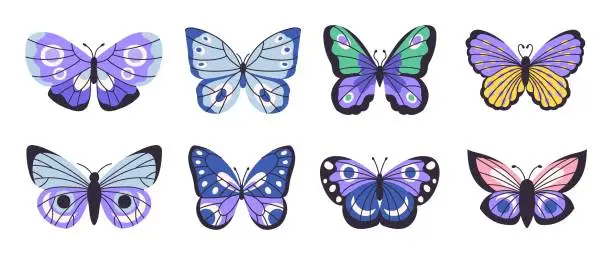 Vector illustration of butterflies_set