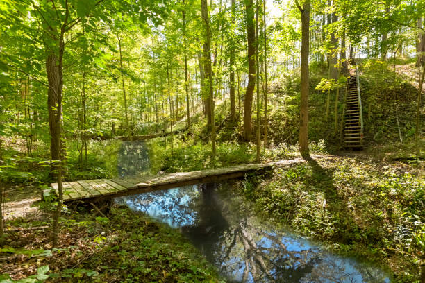 istock wooden bridge over stream on the Bruce Trail 2148414212