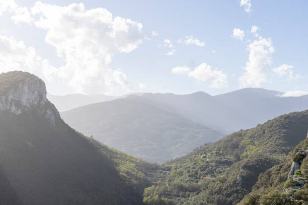 Elevated view of forested valley and coastal mountains