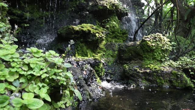 Small Waterfall with green moss