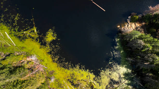 istock Bird's-eye view of ocean and coastline 2148414854