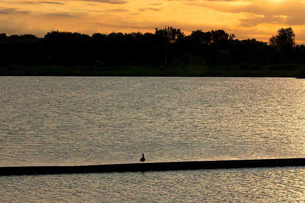 istock Evening at the lake 2148416345