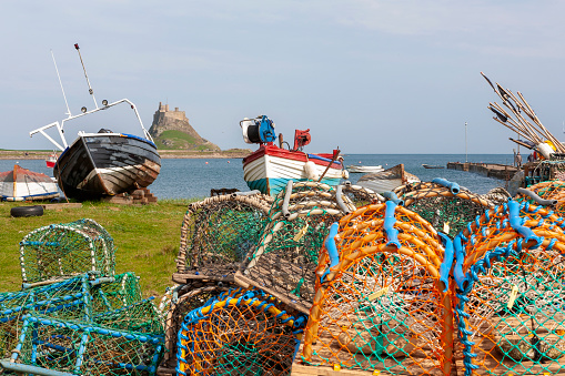 Lobster and crab pots in the foreground, with traditional old fishing boats hauled out of the water, and Lindisfarne Castle beyond: Holy Island, Northumberland, UK