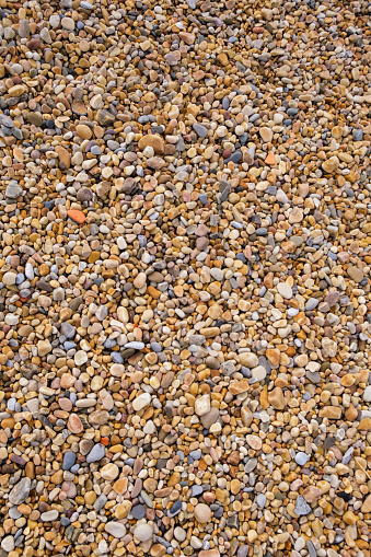 A collection of assorted rocks lie scattered on the wet pebbled ground of a beach shore. The rocks vary in size and shape, creating a natural and unorganized arrangement.