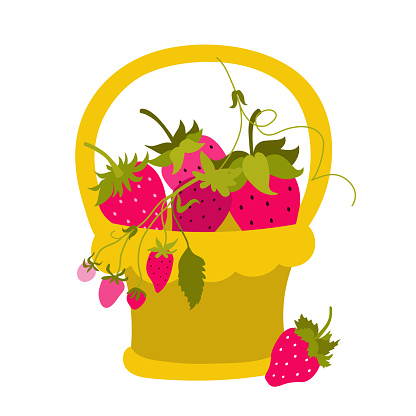 Vector illustration of strawberries in a basket.
