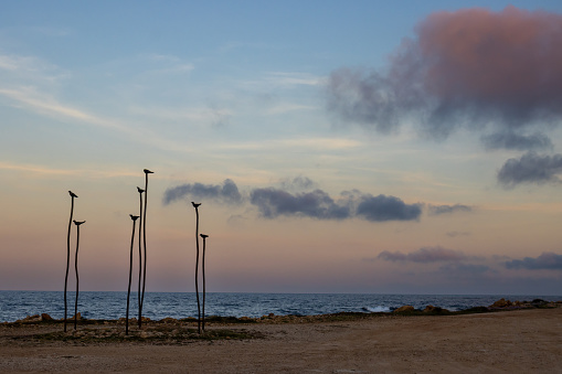 Calm water of Mediterranean sea. Sand and rocks on the coast. Orange and blue sky at the sunrise. Darker blue clouds. Decoration: seven sticks with birds on it. Spiaggia Sibiliana, Marsala, Sicily.