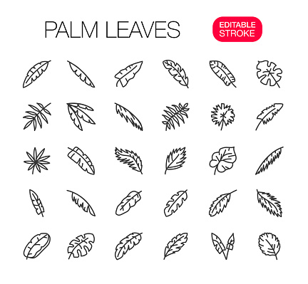 Palm Leaves Line Icons Set, Editable Stroke. Vector illustration.