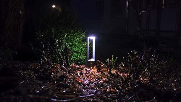istock Garden Plants Lit by Solar Powered Reachargeable LED Lamp Glowing with Cold Electric Light at Night 2148424021