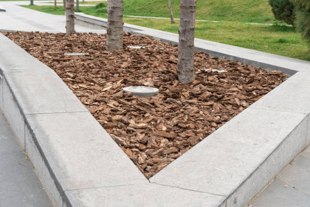 istock Mulching of tree trunk with bark for park design. Decorative piece mulch. 2148425893