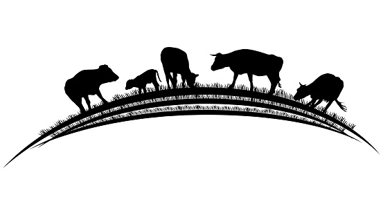 Silhouette scene from farm life with fields, barns and machinery on rounded land isolated on white background. Vector rural clipart.