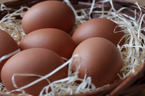 Detail of brown chicken eggs on straw in a rustic environment