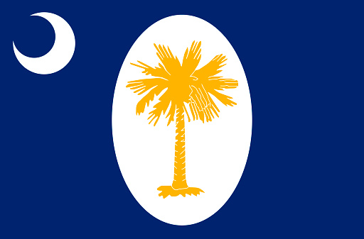 Top view of South Carolina January 1861 , USA flag, no flagpole. Plane design layout Flag background