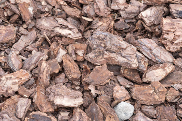 istock Crushed tree bark texture close-up. Wooden mulch ground's fragment. 2148429121