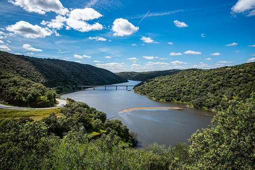 A beautiful nature view of the Tagus River valley from the Mirador Rio Tajo. Blue sky, white clouds, water, bridge and a floating boom. Monfrague National Park, Extremadura, Spain