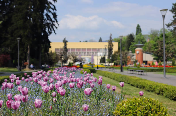 Spring in the park, Vrnjacka Banja - Serbia