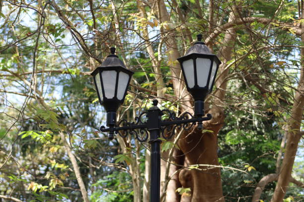 istock The street lamp is under the tree 2148438527