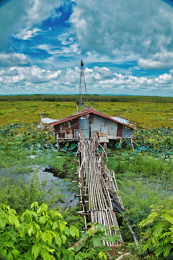 Ban Diam, Thailand, July 23, 2022. Fisherman’s cabin with a narrow bamboo bridge in the wetland on the north shore of the Red Lotus Lake (Nong Han Kumphawap), province of Udon Thani, Thailand