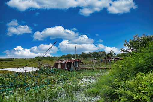 Ban Diam, Thailand, July 23, 2022. Fisherman’s cabins made of corrugated iron in the wetland of the north shore of the Red Lotus Lake (Nong Han Kumphawap), province of Udon Thani, Thailand