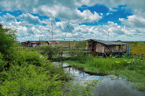 Ban Diam, Thailand, July 23, 2022. Fisherman’s cabins made of corrugated iron in the wetland of the north shore of the Red Lotus Lake (Nong Han Kumphawap), province of Udon Thani, Thailand